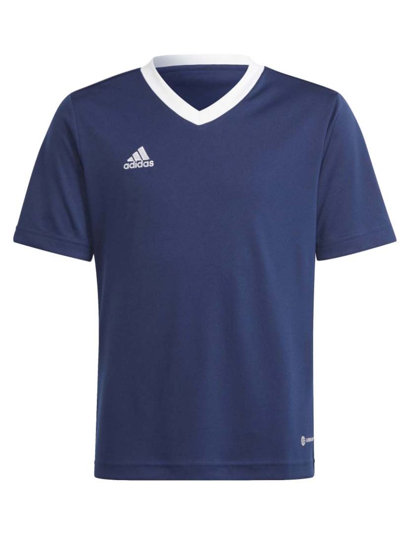 imagem de T-Shirt Adidas Sport Ent22 Jsy Y Tenabl1
