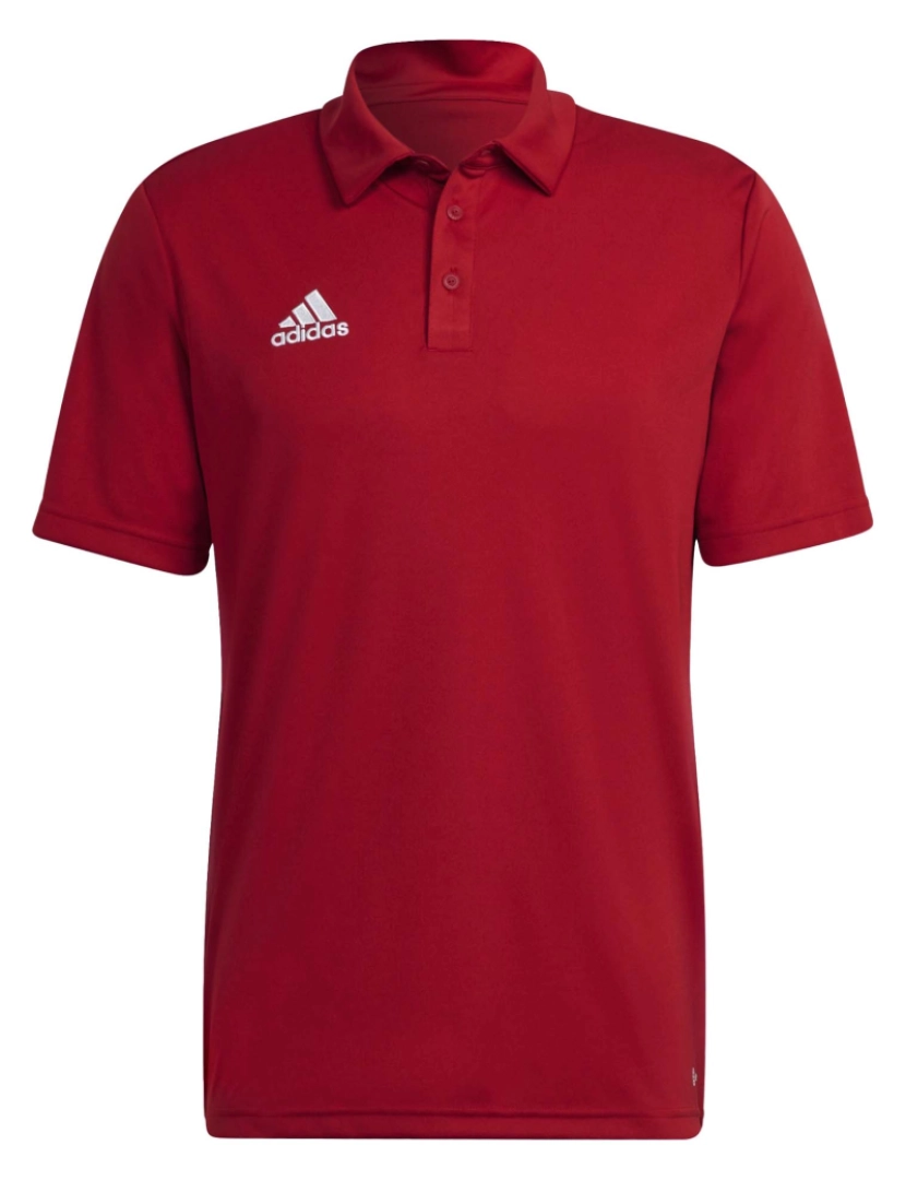 Adidas Sport - Polo Adidas Sport Ent22