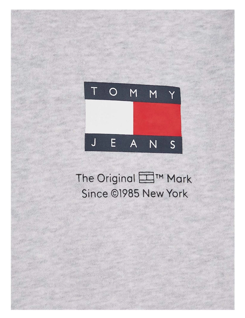 imagem de Camisola Tommy Jeans Tjm Reg Essential Fl5