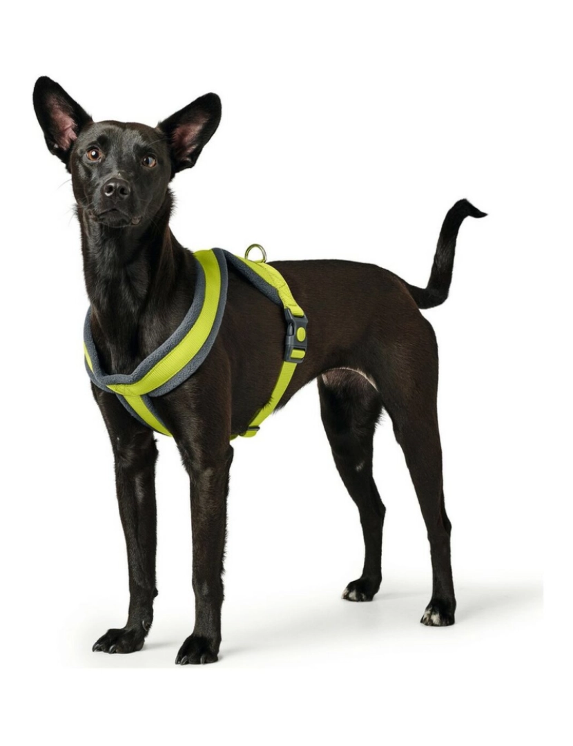 imagem de Arnês para Cães Hunter London Comfort XS-S 39-47 cm Lima1