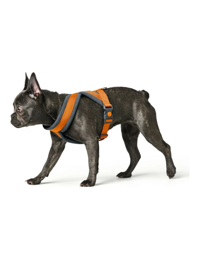 imagem de Arnês para Cães Hunter London Comfort 48-56 cm Laranja Tamanho S/M3