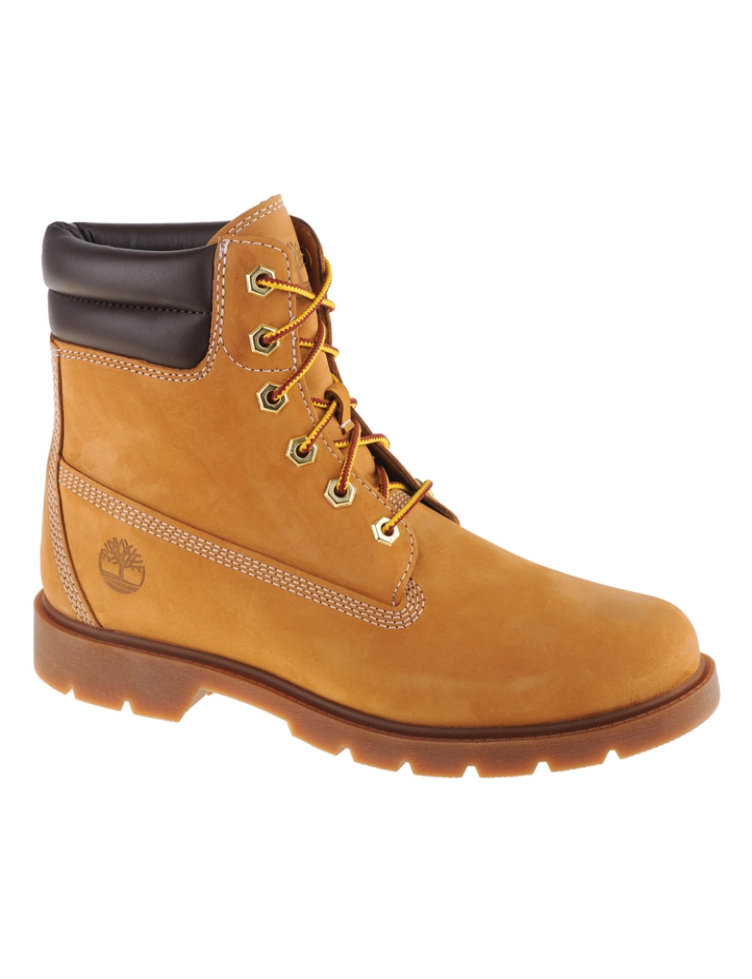 Timberland - Madeiras de Linden 6 na inicialização