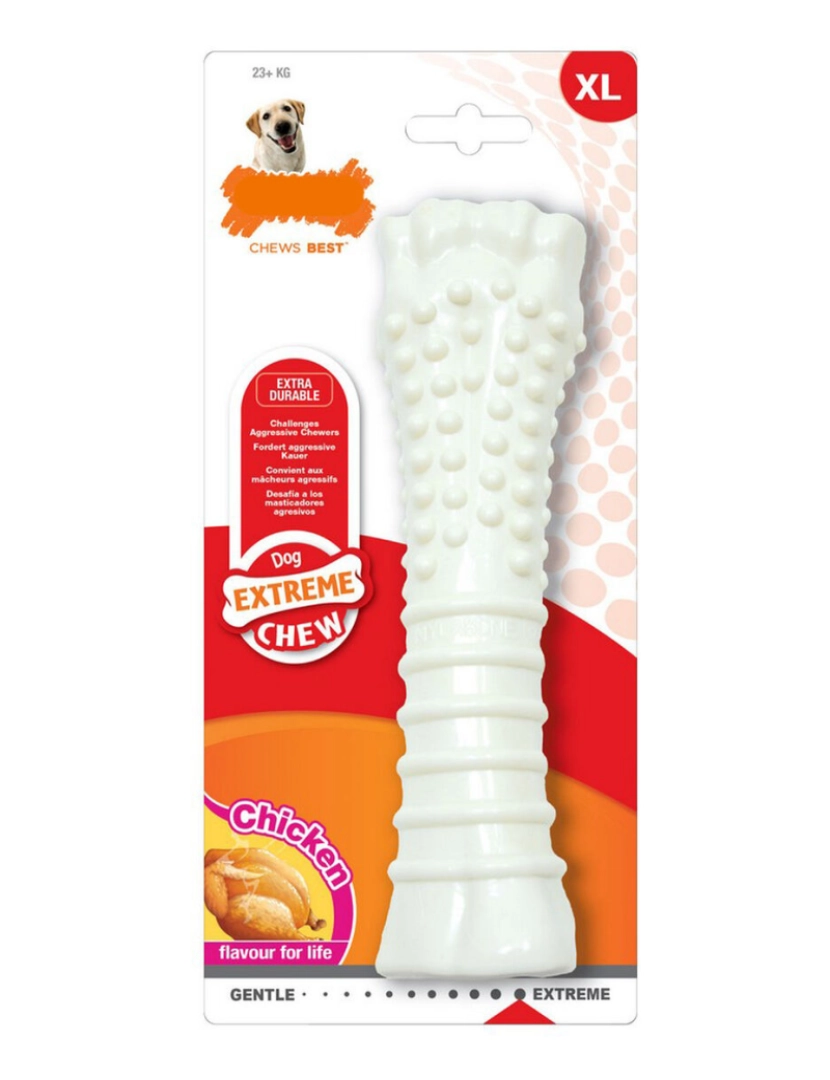 Nylabone - Mordedor para cão Nylabone Dura Chew Texturado Frango Nylon