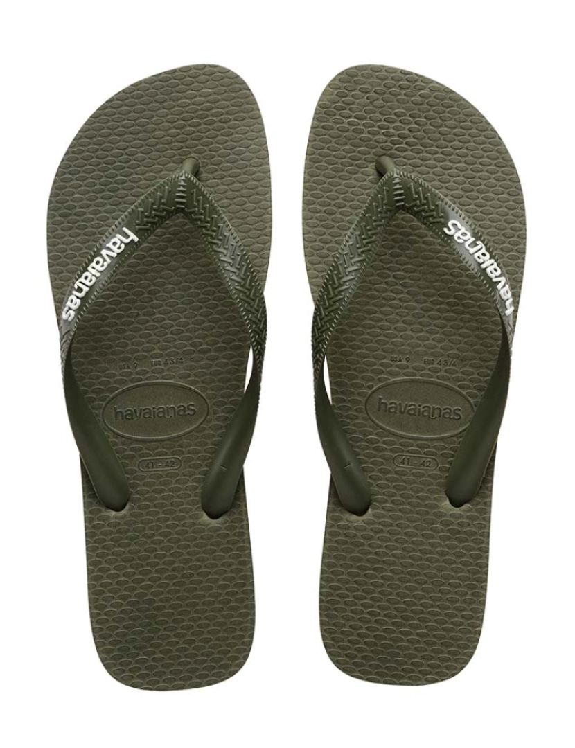 Havaianas - Havaianas Logo Filete Homem Musgo e Branco