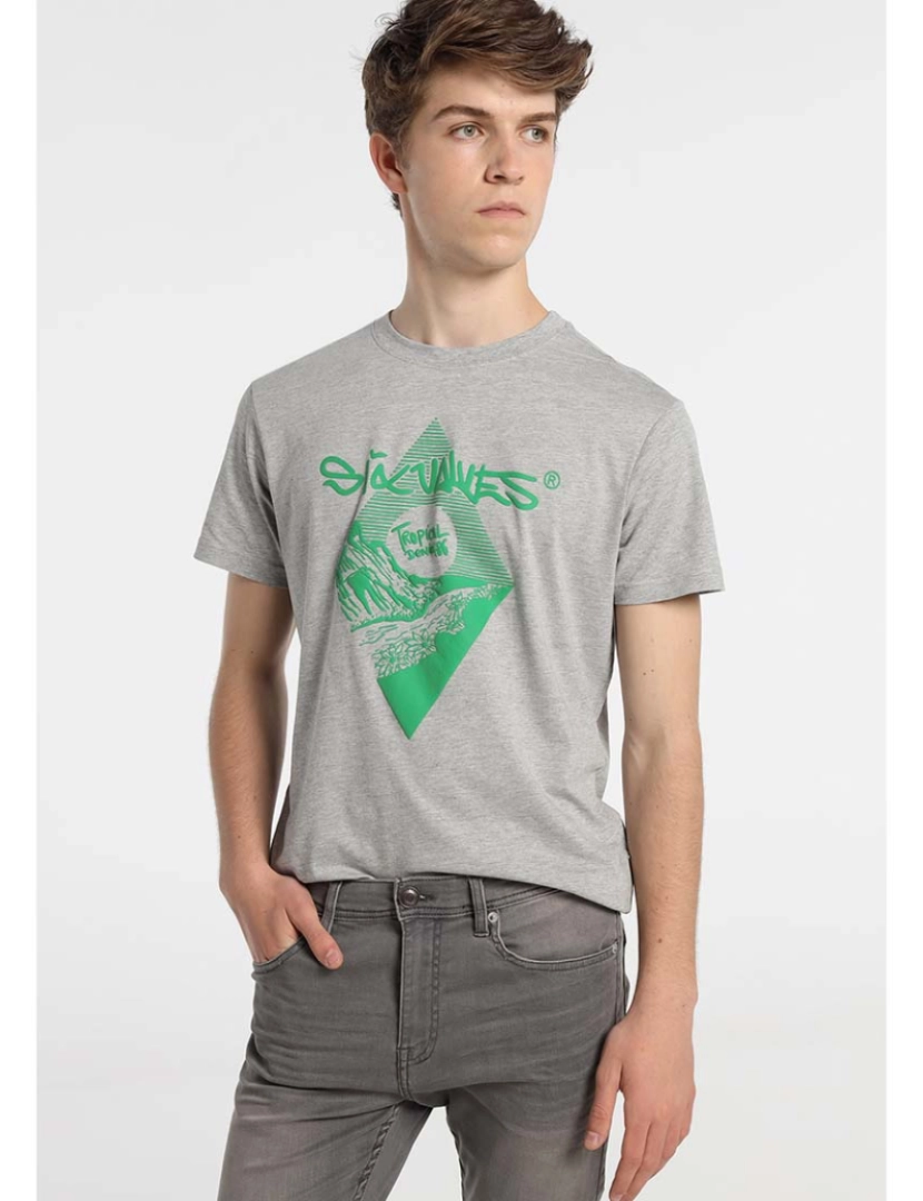 Sixvalves - T-Shirt Homem Cinza