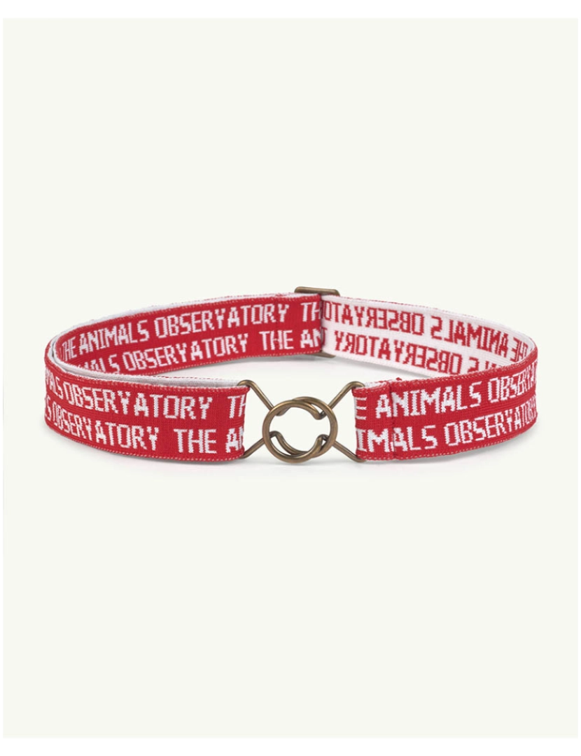 The Animals Observatory - Cinto Lovebird Onesize Vermelho