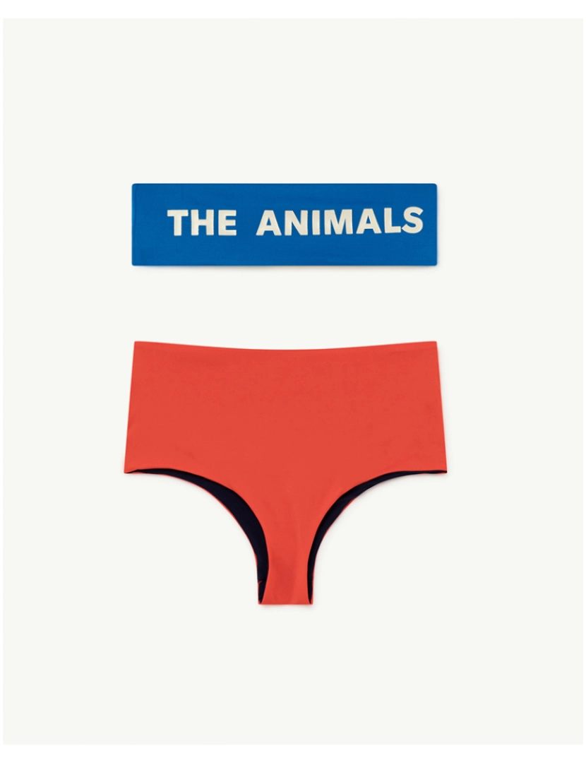 The Animals Observatory - Triton Kids Bikini Observatório Vermelho 4 Anos