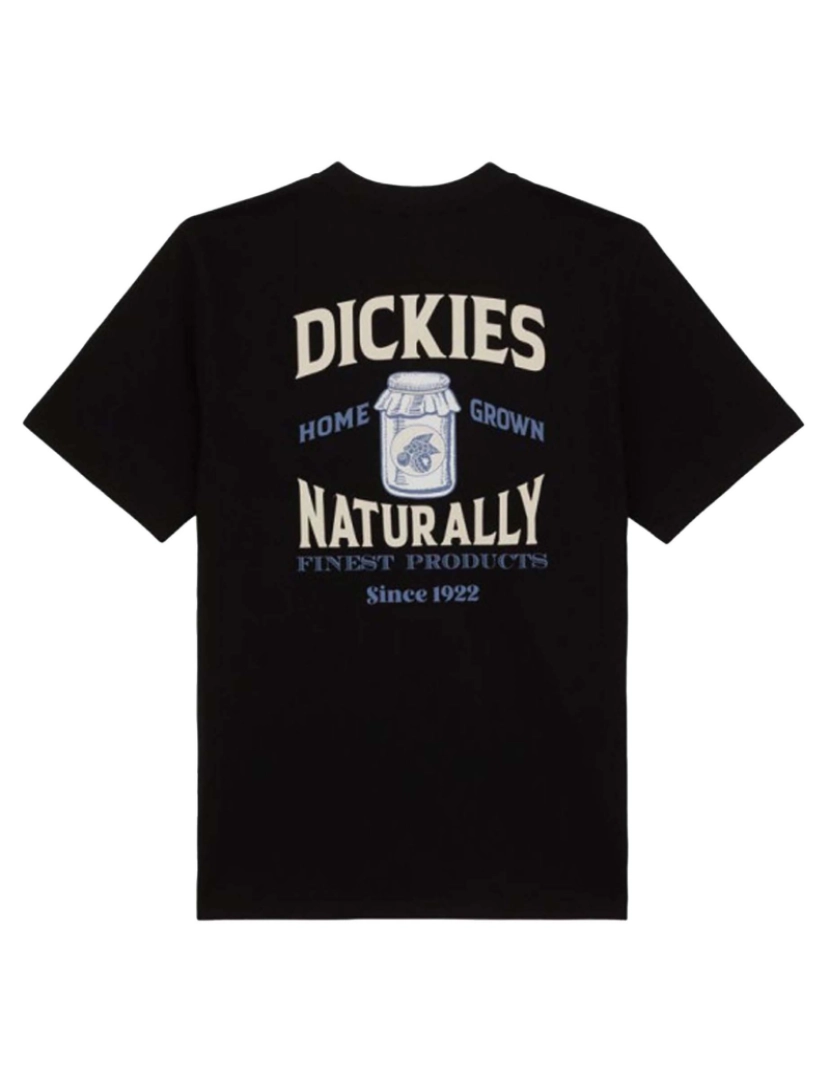 imagem de T-Shirt Dickies Elliston Tee Ss2