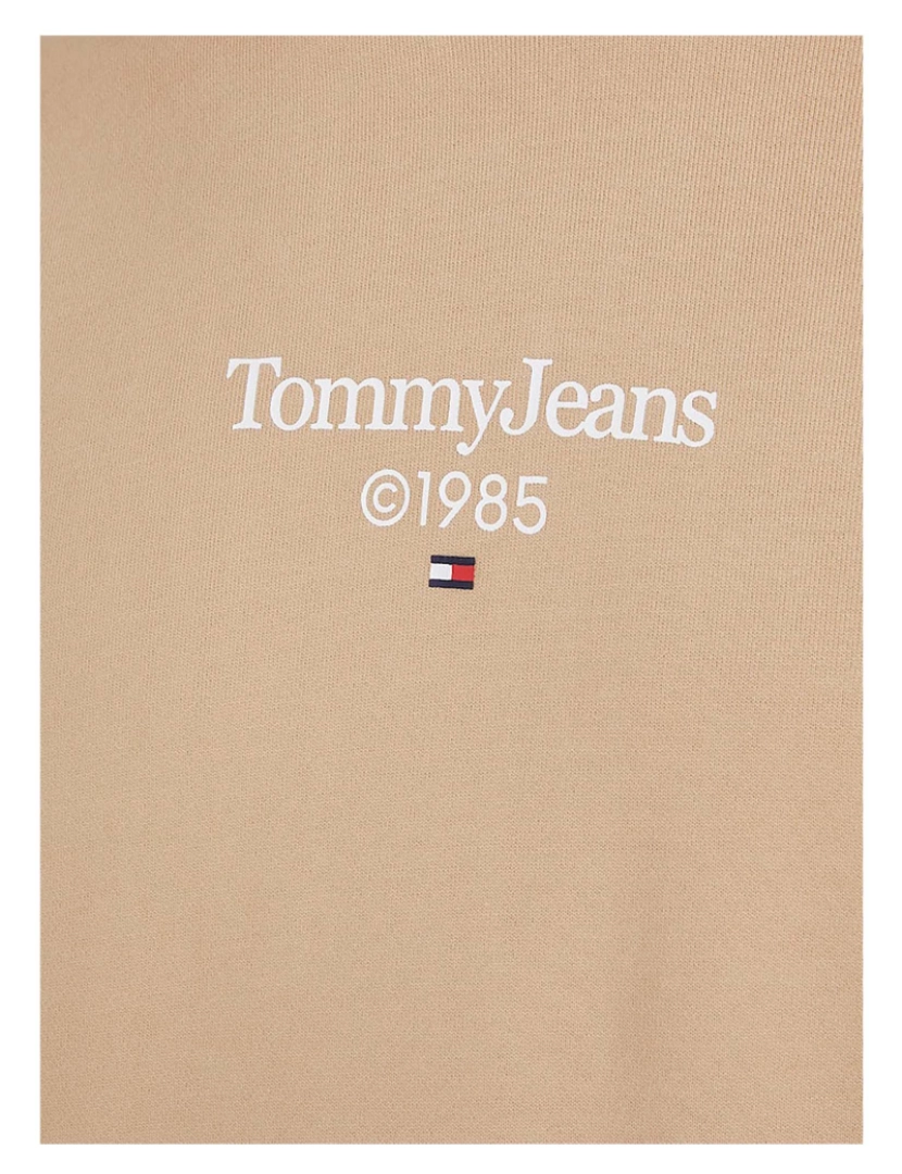 imagem de Camisola Tommy Jeans Tjm Reg Entry Gráfico5