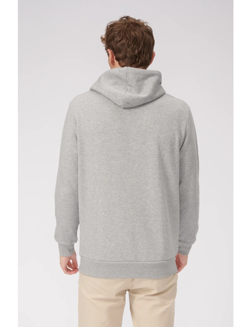 imagem de Sweat básica com capuz - Light Grey Melange2