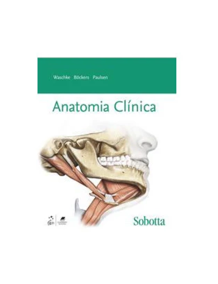 imagem de Livro, Sobotta Anatomia Clínica 1/181