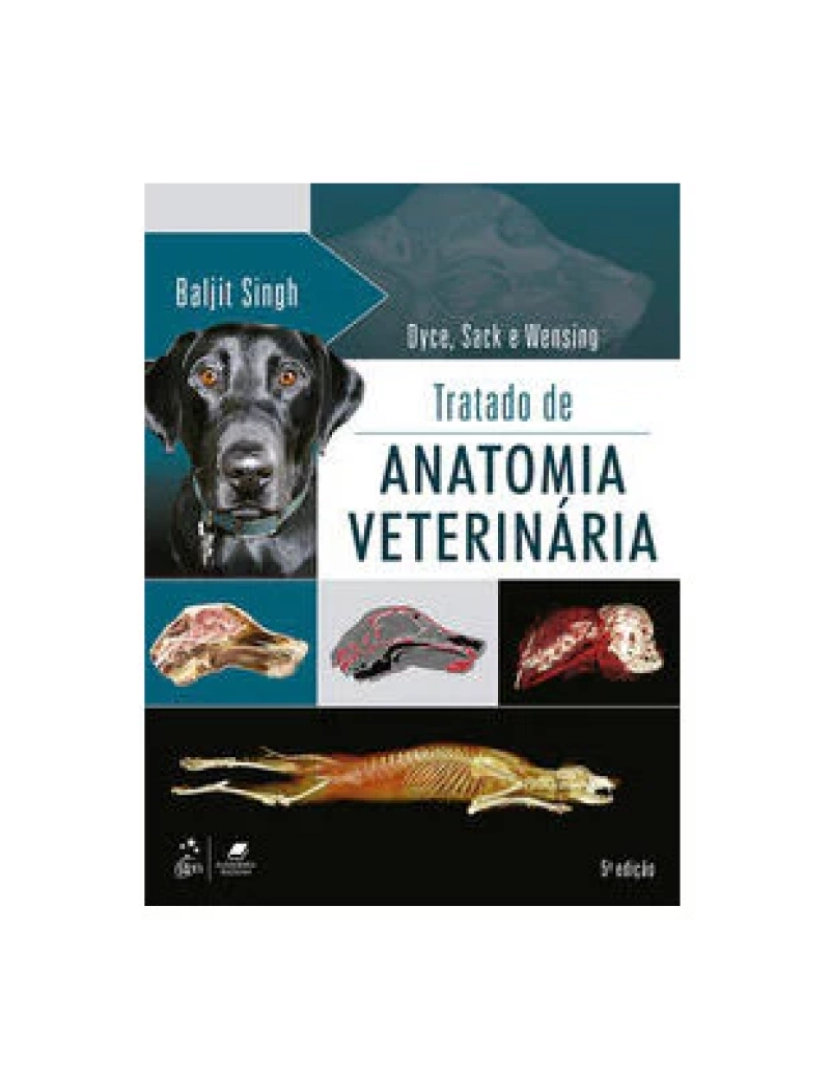 imagem de Livro, Tratado de Anatomia Veterinária 5/191