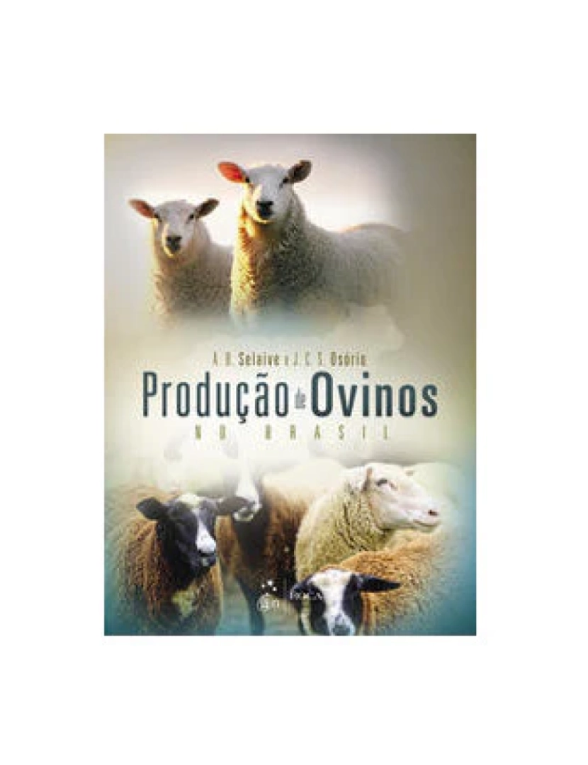 Roca - Livro, Produção de Ovinos no Brasil 1/14