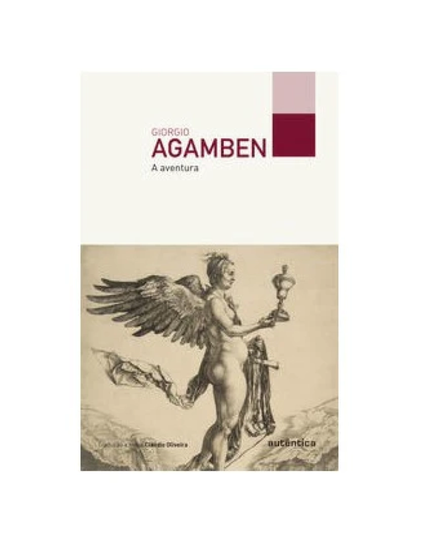 imagem de Livro, Aventura, A (Agamben)1