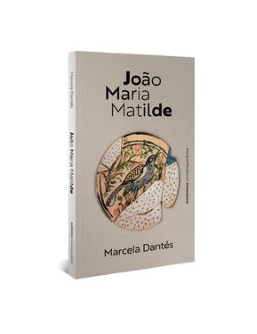 imagem de Livro, João Maria Matilde1