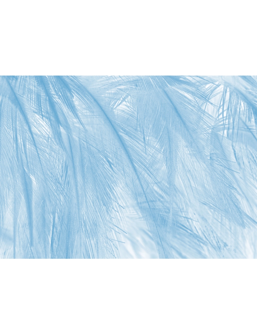 imagem de Papel de parede Soft Bleu4