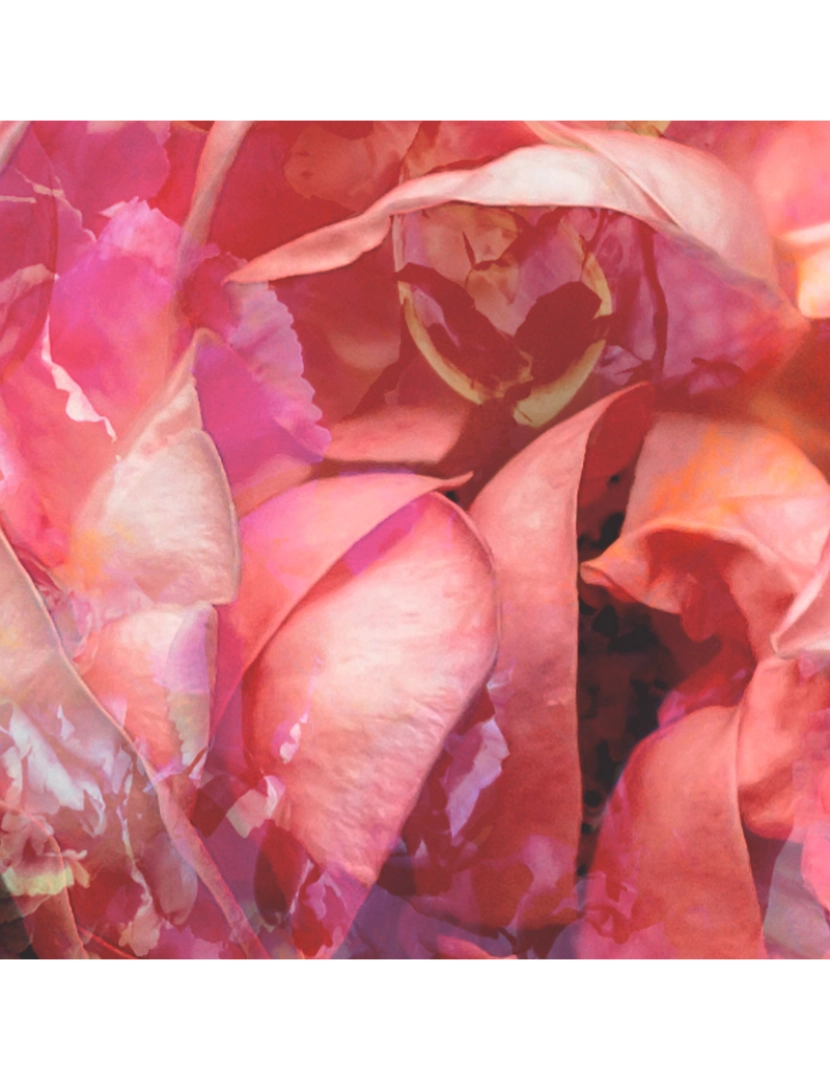 imagem de Papel de parede Roses antiques3