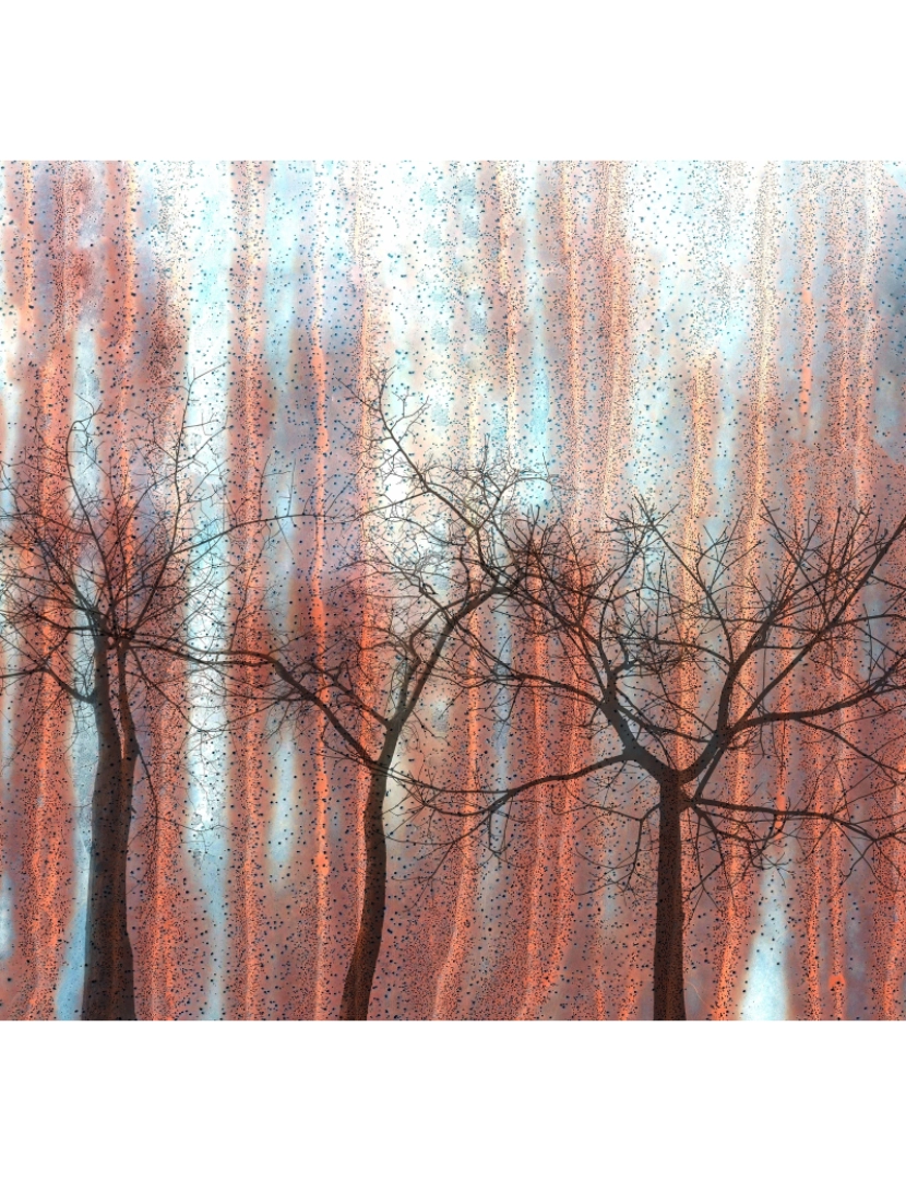 imagem de Papel de parede Ash trees3