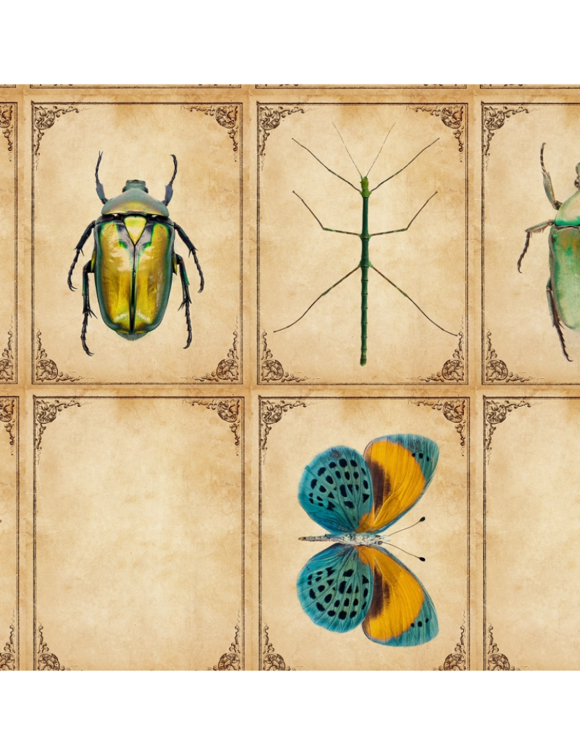 imagem de Papel de parede Insectarium5