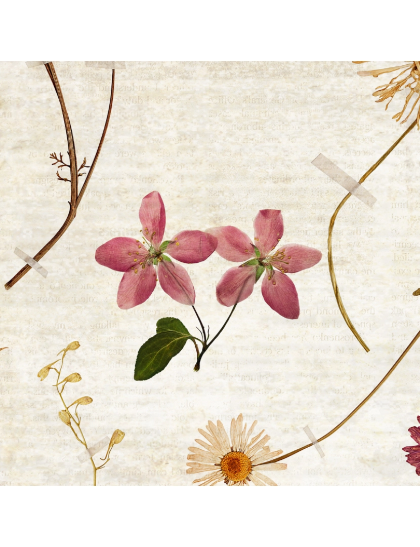 imagem de Papel de parede Herbarium3