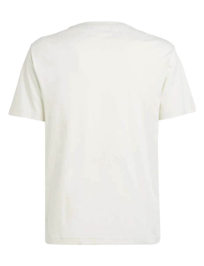 imagem de Camiseta Calvin Klein Com Logotipo Difuso3