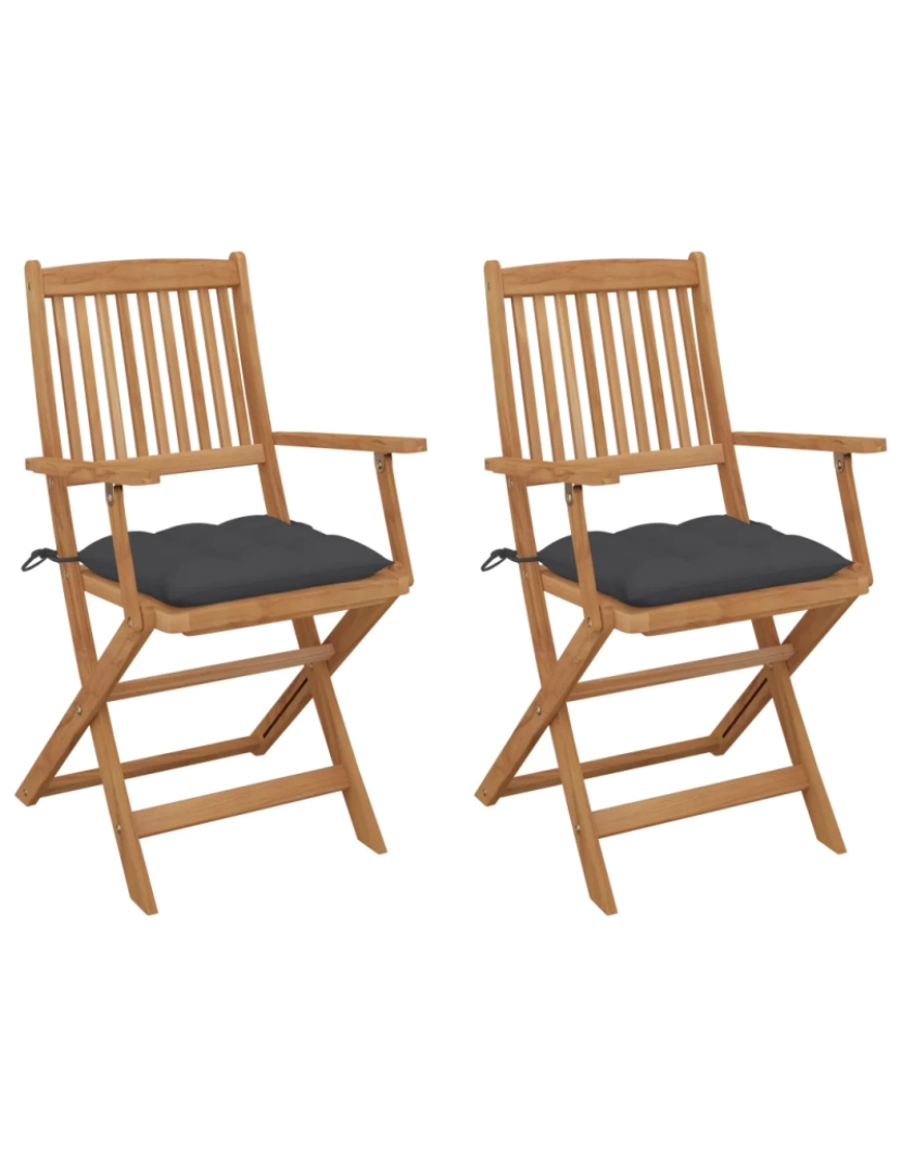 Vidaxl - Cadeiras de jardim dobráveis c/ almofadões 2 pcs，Poltrona de jardim，Cadeira exterior acácia maciça CFW80764