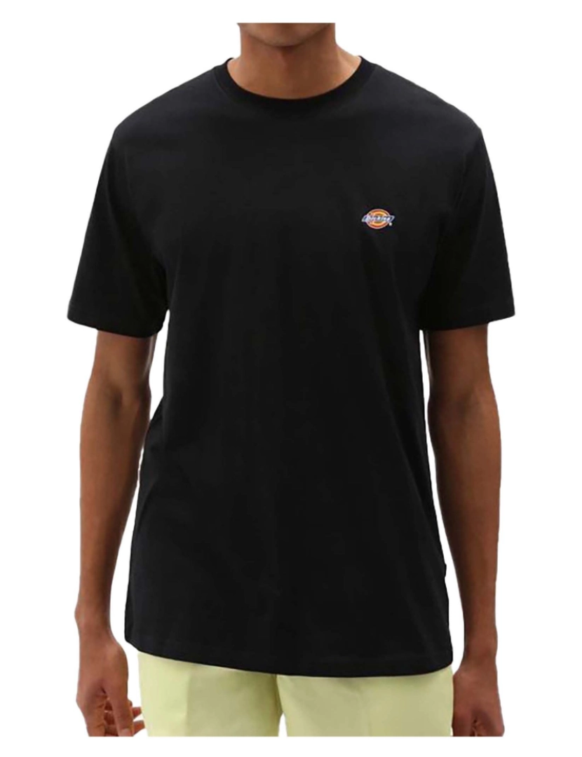 imagem de Camiseta Dickies Ss Mapleton2