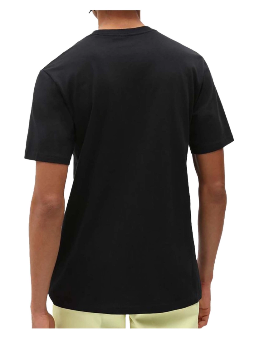 imagem de Camiseta Dickies Ss Mapleton3