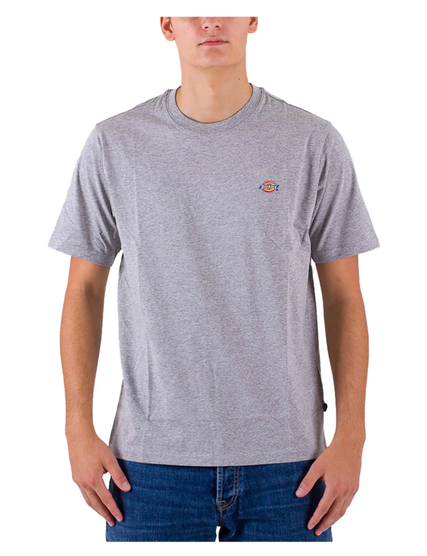 imagem de Camiseta Dickies Ss Mapleton2