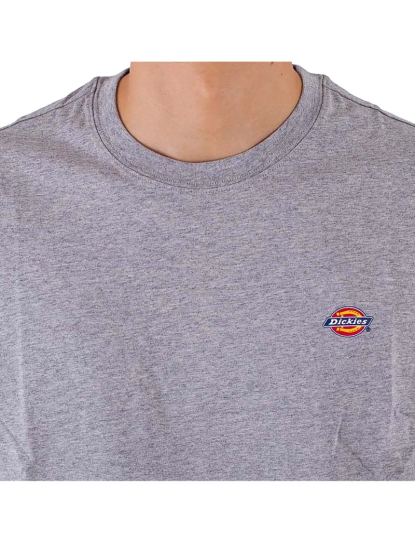 imagem de Camiseta Dickies Ss Mapleton4