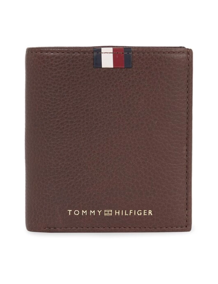 imagem de Tommy Hilfiger Carteira Castanha Homem AM0AM115974