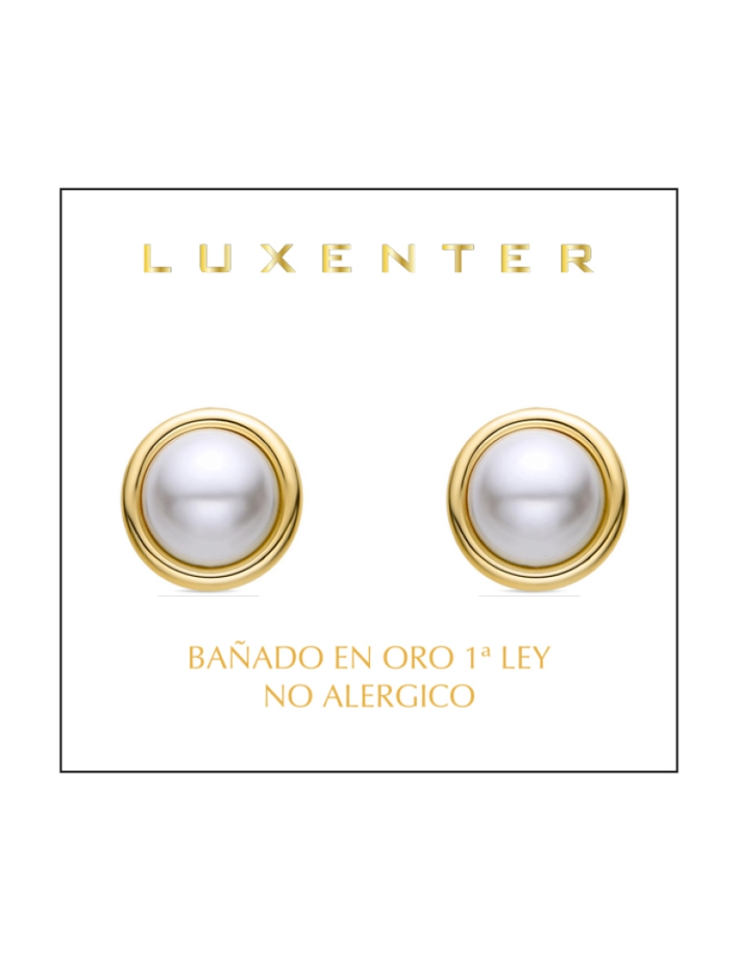 imagem de Brincos Luxenter com acabamento em ouro amarelo 18K - Adriel2