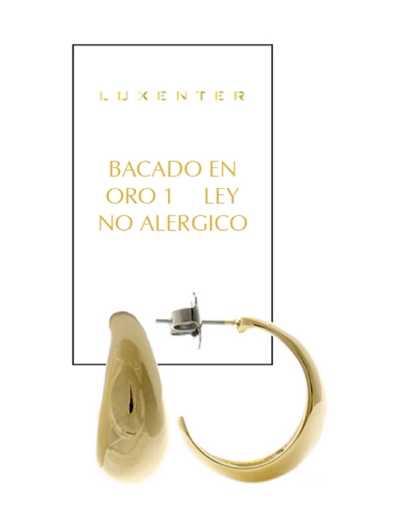 imagem de Brincos Luxenter com acabamento em ouro amarelo 18K - Ami2