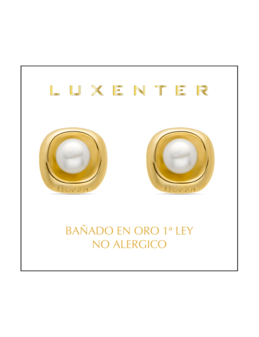 imagem de Brincos Luxenter com acabamento em ouro amarelo 18K - Fusah2