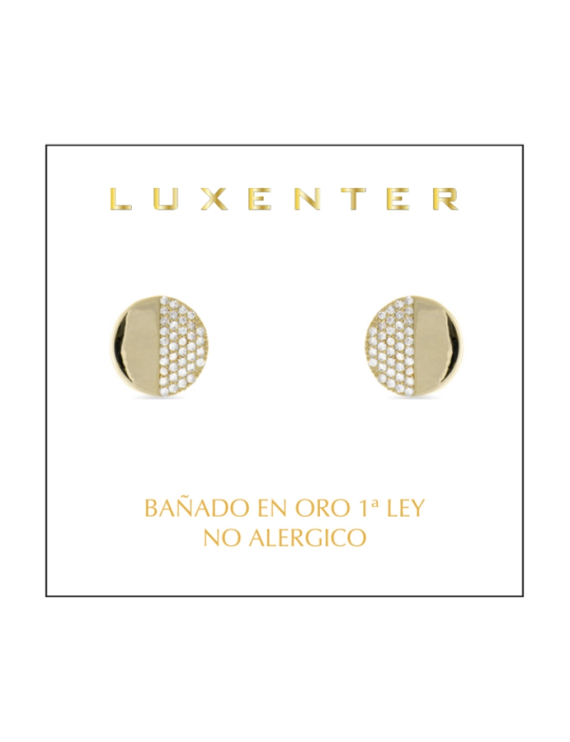 imagem de Brincos Luxenter com acabamento em ouro amarelo 18K - Norul2