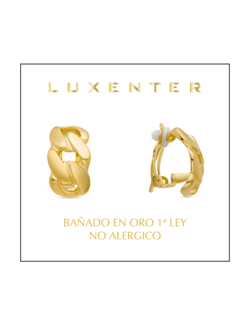 imagem de Brincos Luxenter com acabamento em ouro amarelo 18K - Raner2