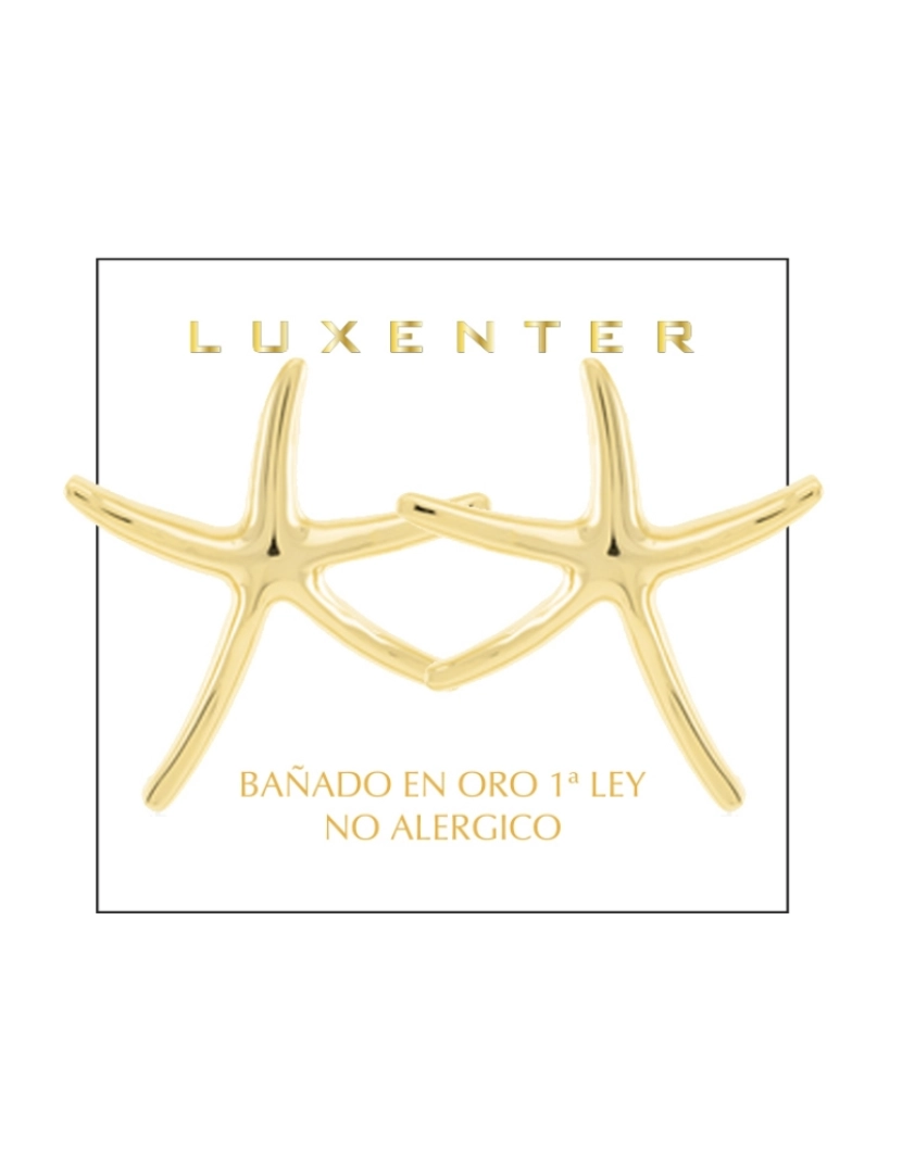 imagem de Brincos Luxenter Amiri com acabamento em ouro amarelo de 18 quilates4