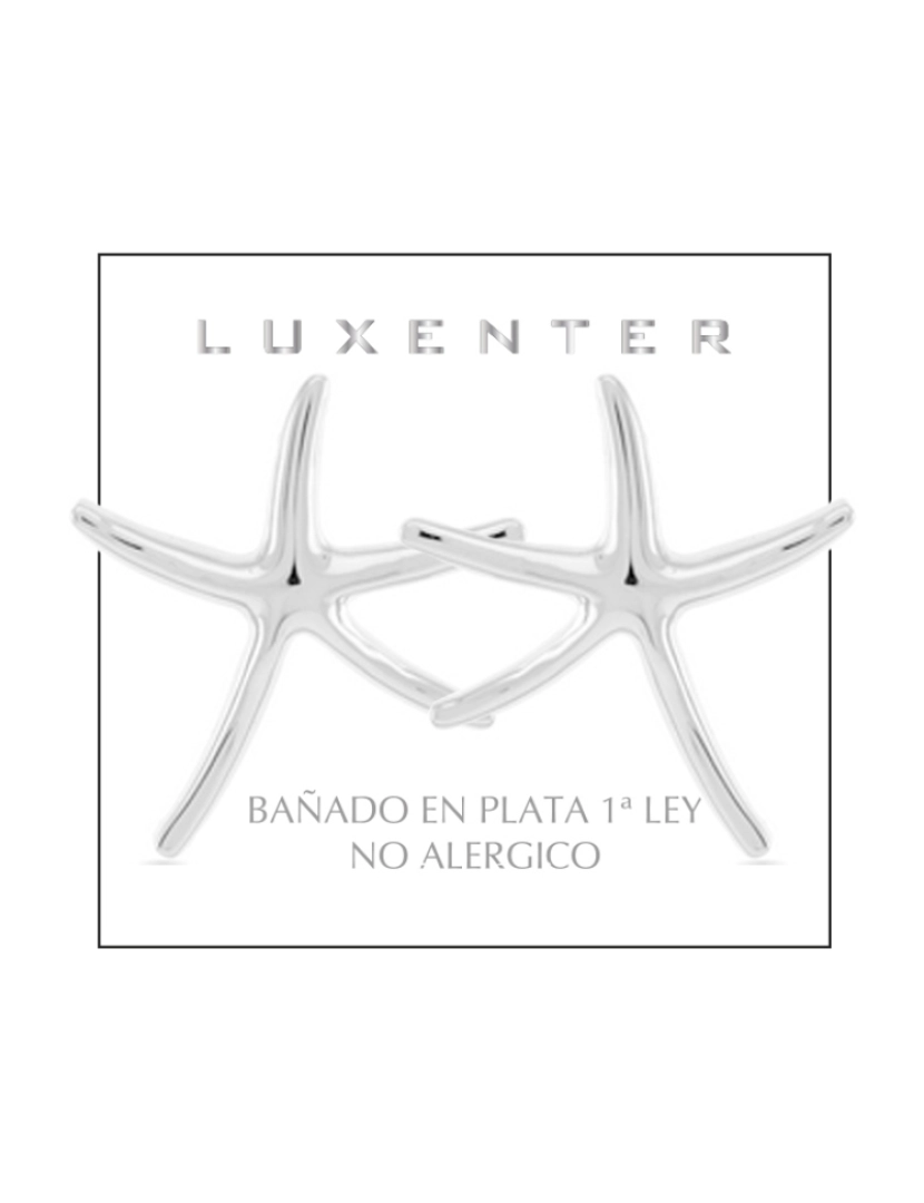 imagem de Brincos Luxenter Amiri com acabamento em ródio4