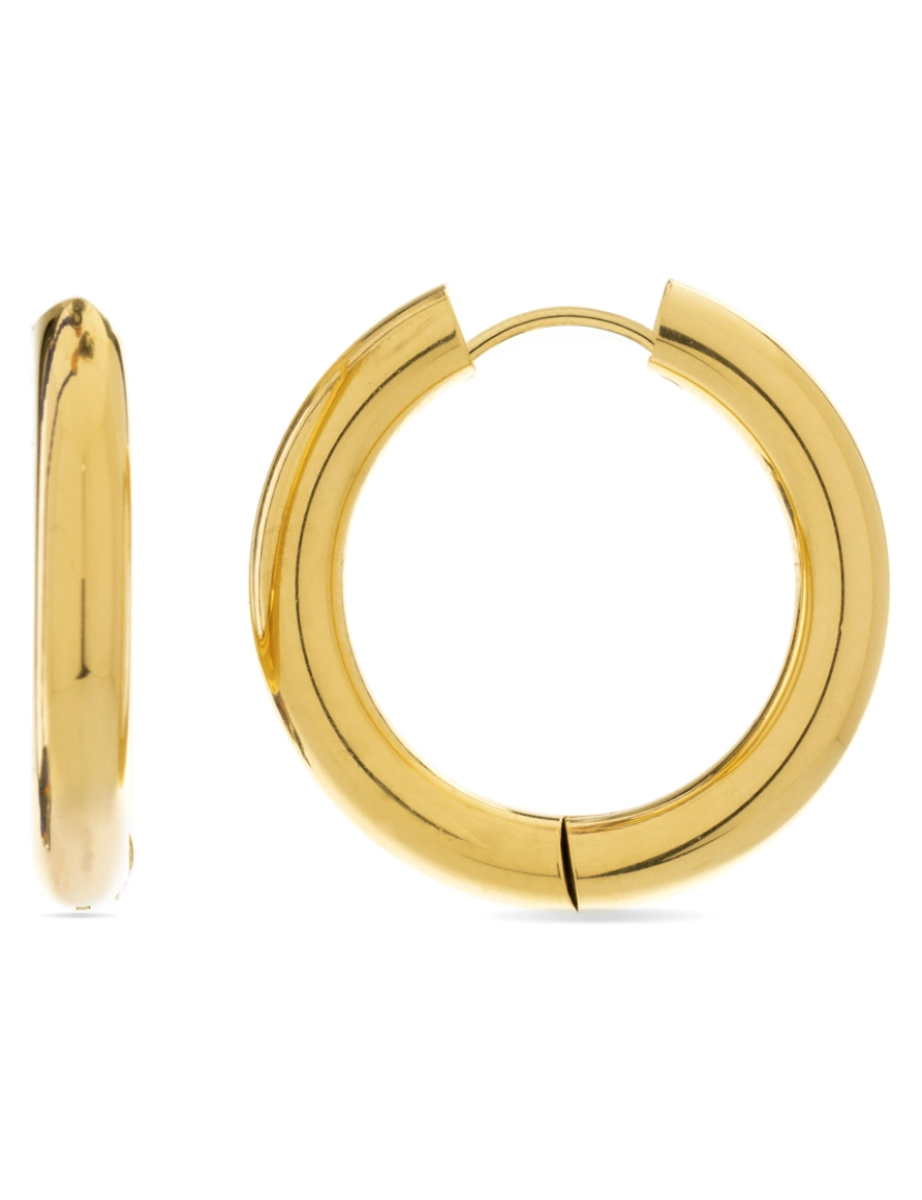 Luxenter - Brincos Luxenter Amyck com acabamento em ouro amarelo 18k