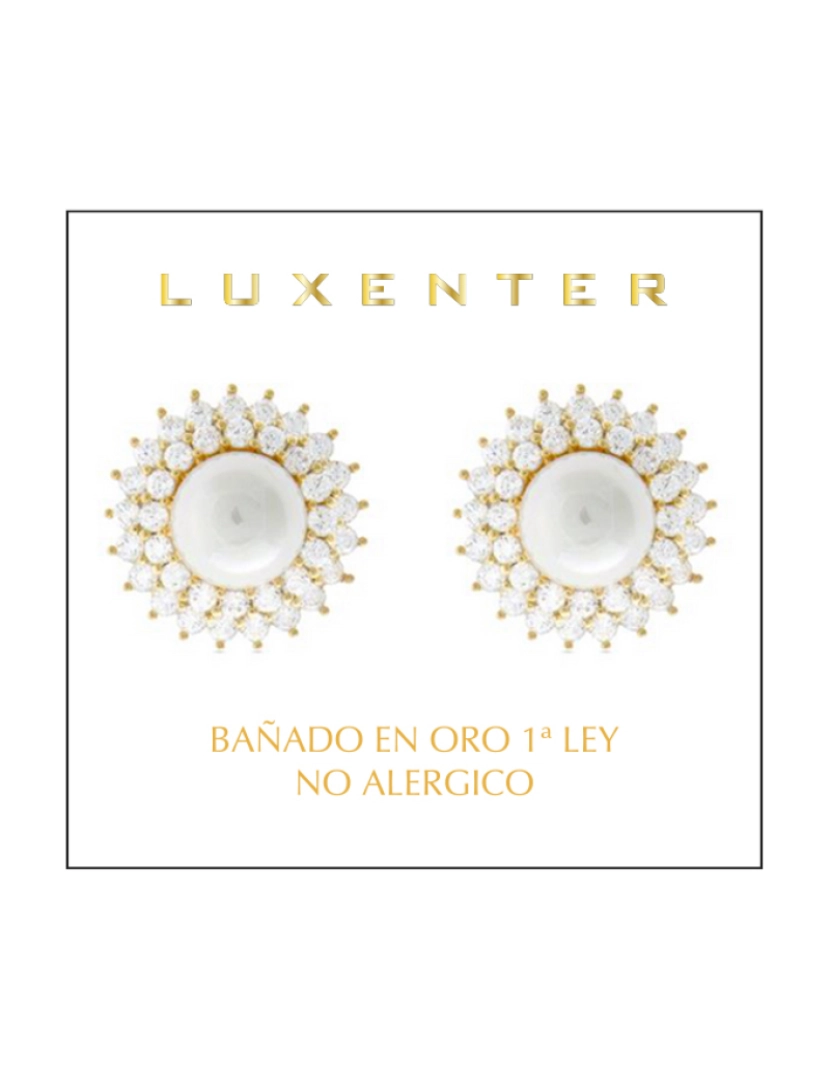 imagem de Brincos Luxenter Kiver com acabamento em ouro amarelo de 18K3