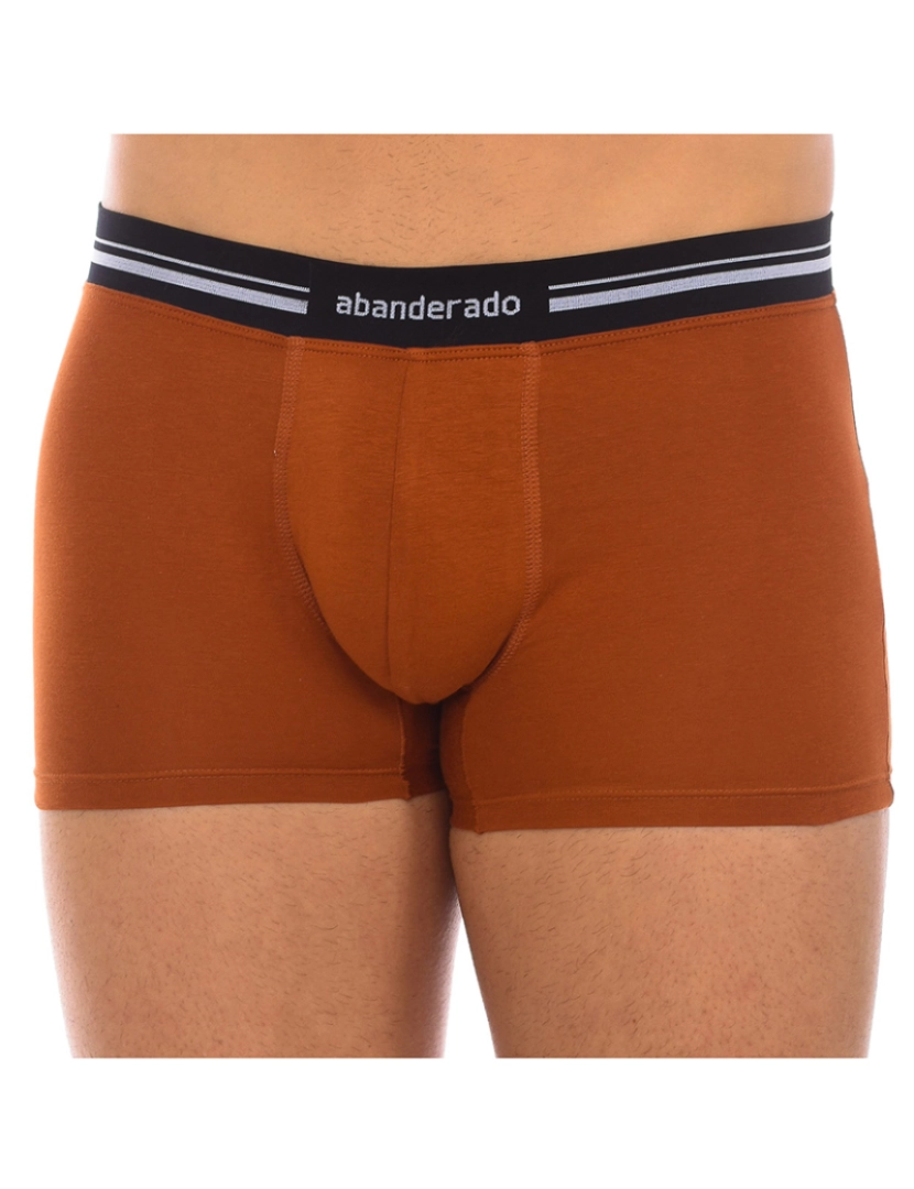 Abanderado - Boxers de Homem Castanho