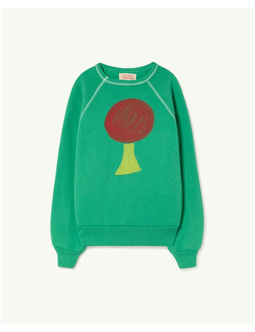 The Animals Observatory - Sweatshirt Shark Kids Verde