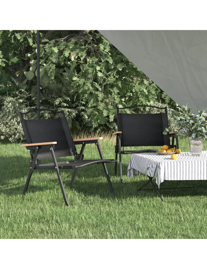 imagem de vidaXL Cadeiras de campismo 2 pcs 54x43x59 cm tecido oxford preto2