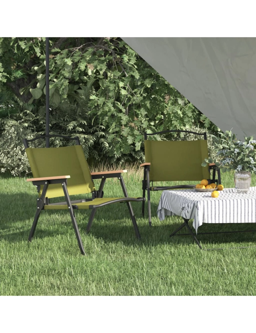 imagem de vidaXL Cadeiras de campismo 2 pcs 54x43x59 cm tecido oxford verde3