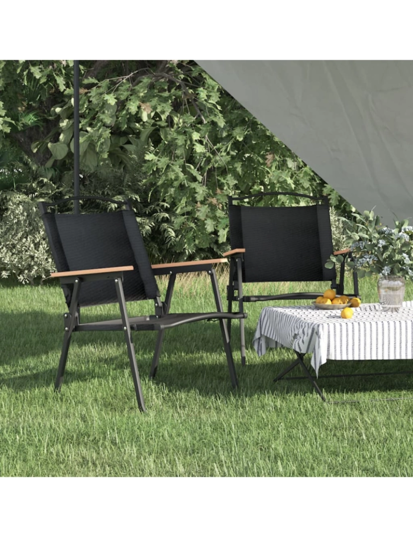 imagem de vidaXL Cadeiras de campismo 2 pcs 54x55x78 cm tecido oxford preto3