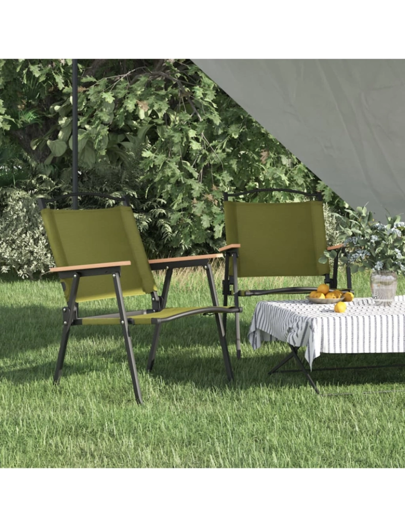 imagem de vidaXL Cadeiras de campismo 2 pcs 54x55x78 cm tecido oxford verde2