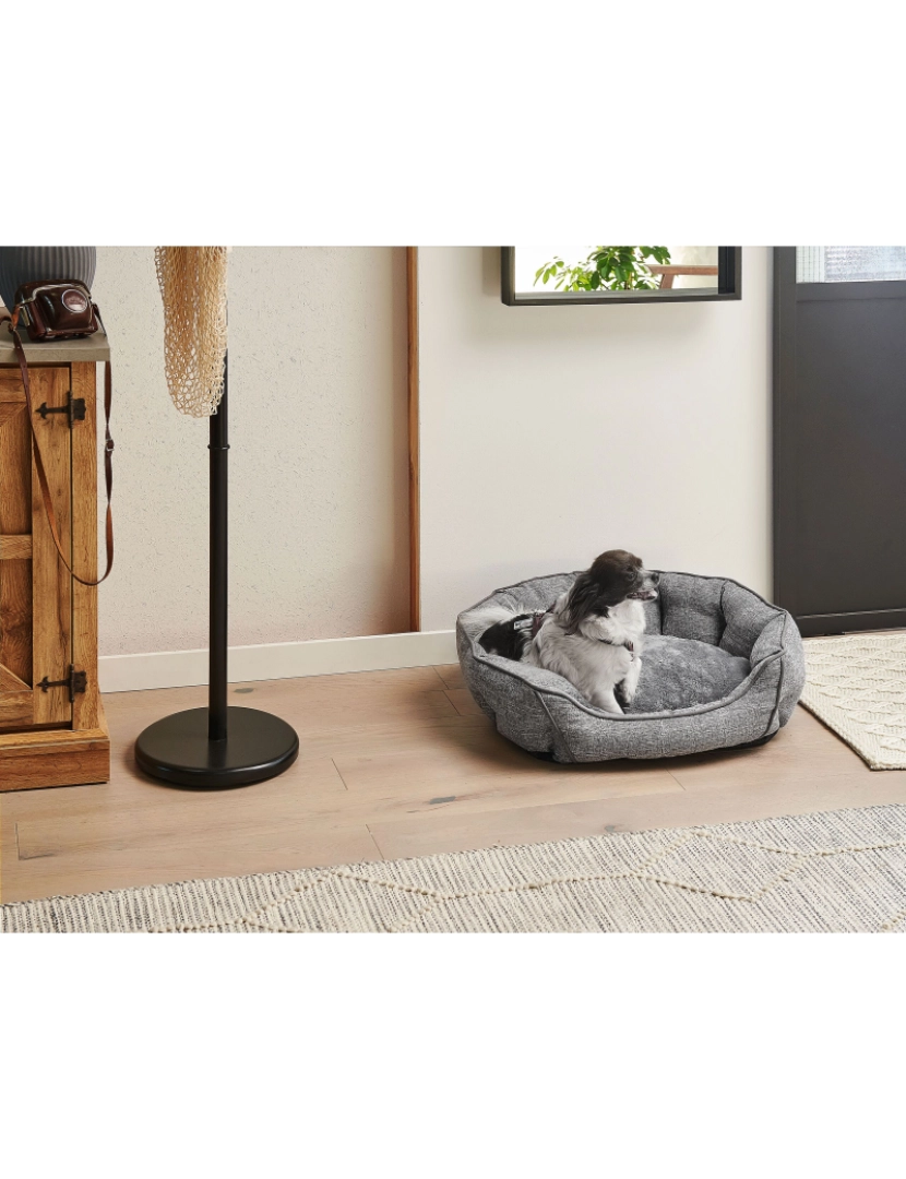 Beliani - Cama para animal de estimação 65 x 50 cm cinzento CANDIR