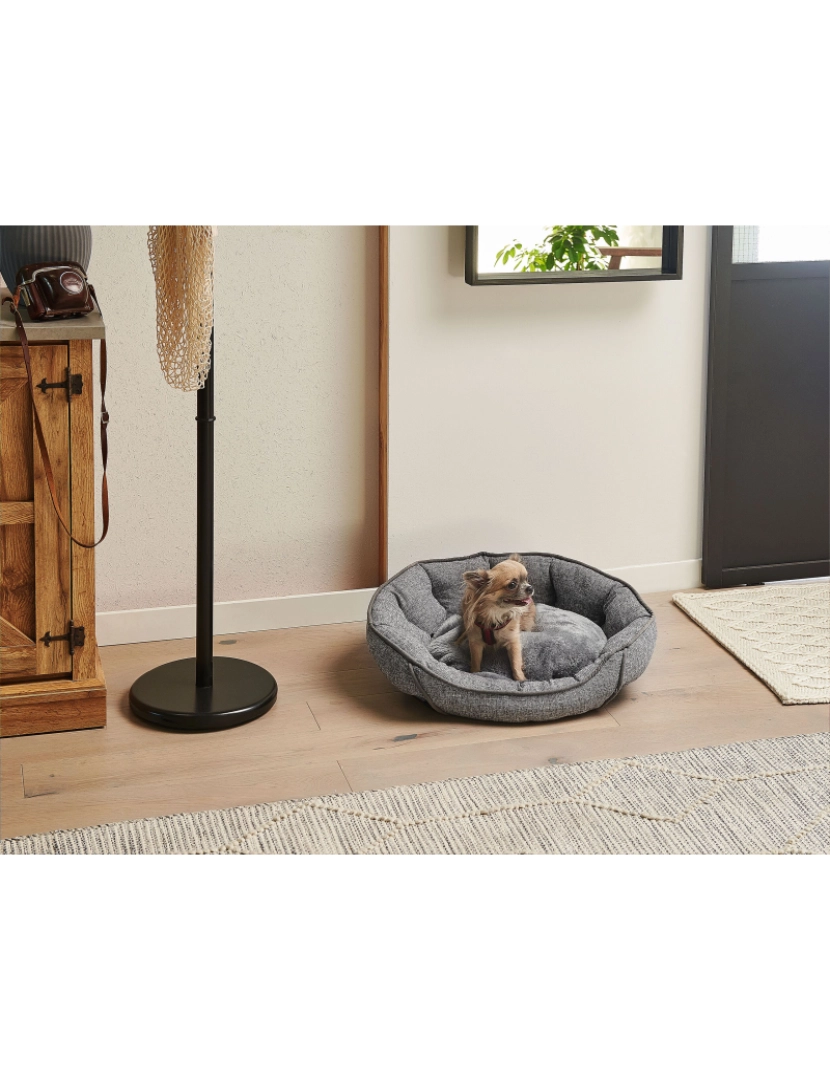 Beliani - Cama para animal de estimação 60 x 50 cm cinzento CANDIR