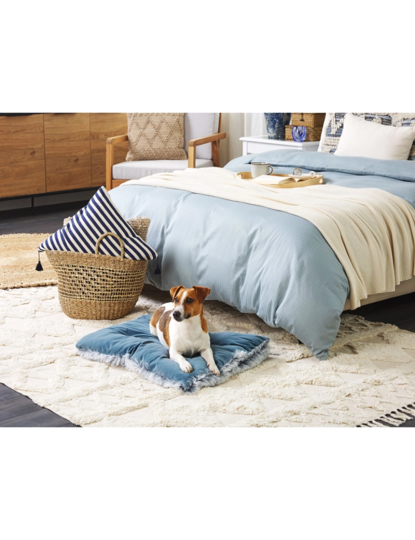 Beliani - Cama para animal de estimação em veludo azul 60 x 45 cm ERGANI