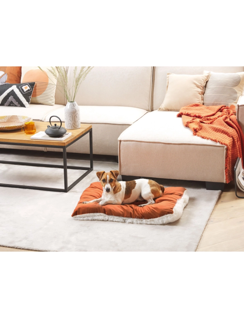 Beliani - Cama para animal de estimação em veludo laranja 70 x 55 cm ERGANI